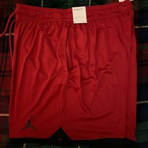 Jordan Brand Air Knit Shorts Mens Size XL